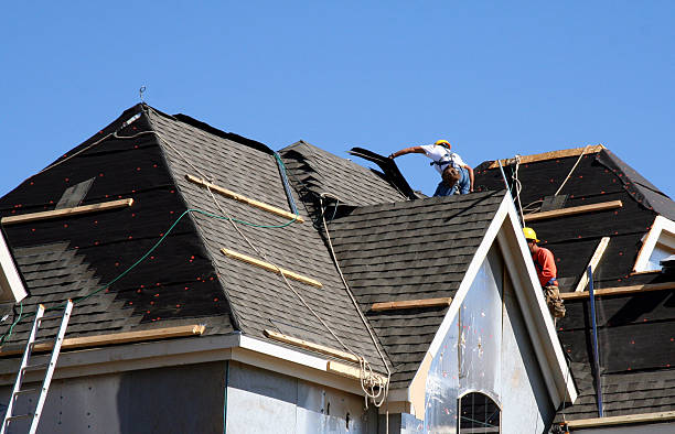 Best Storm Damage Roof Repair  in Carrollton, GA